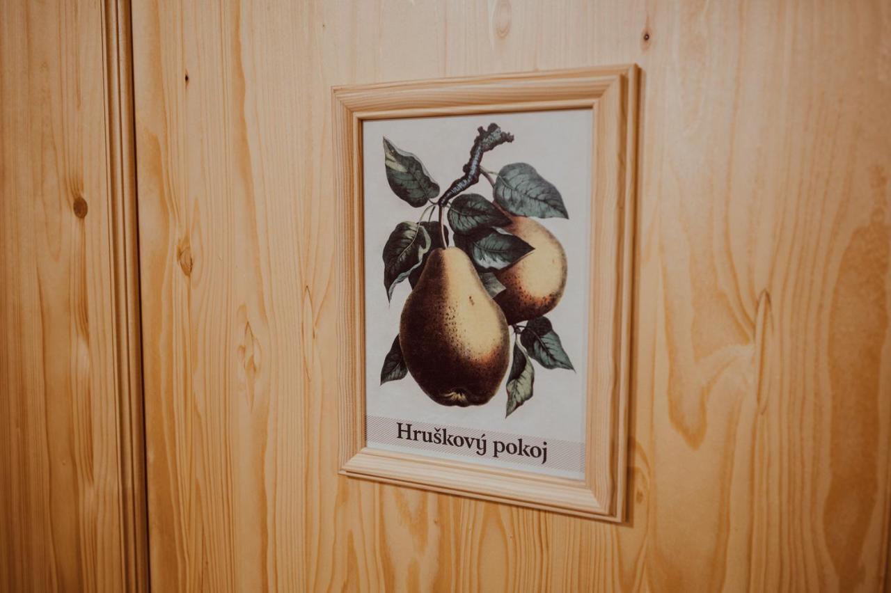 Penzion Brusinka Kocourov  外观 照片