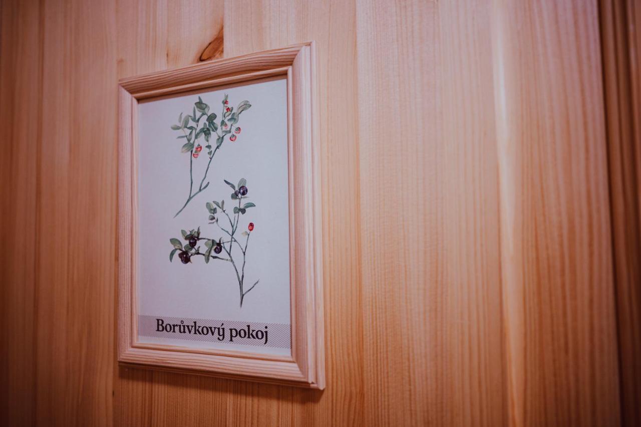 Penzion Brusinka Kocourov  外观 照片